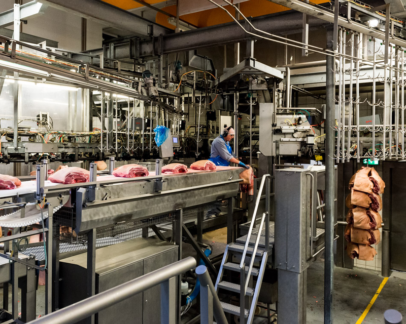 Illustration for article titled Take a Visual Tour of the World's Most Modern Slaughterhouse